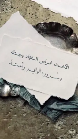 #بشارة_مولود#دعوة_كلاسيكيه#بشارة_مولودة_أختي#حلالكم#بدون_اسم#بشارة_مواليد#مولود_جديد#تهنئة#بشارة#دعوات_الكترونيه#دعوة#foryou#استقبالات_مواليد#بشارة_مولود_من_الخاله
