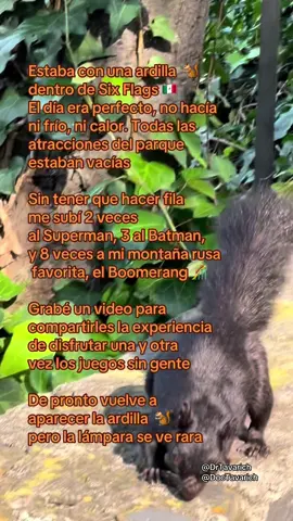 Querido Six Flags México 🎢🎡🫶🇲🇽  la pasé increíble, fue el mejor día de mi vida, pero la lámpara se ve rara…  @sixflagsmexico  #D#DrTavarichperolalamparaseverara #D#DocTavarichP#PuraGenteDelDoctorT#TowarichKnowsBestS#SixFlagslalamparaseverara  
