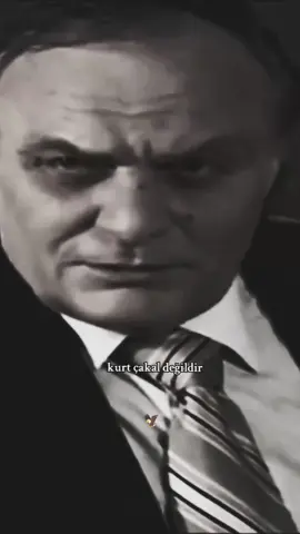 Büyüklüğün Bilen Büyüğünden Büyütür...🦅 #hüsrevağa #lazziya #kesfet #çakır #kurtlarvadisi #polatalemdar #🦅🦅🦅 #ozdgnaziz #diyarbakirli #21 #kurtlarvadisipusu 