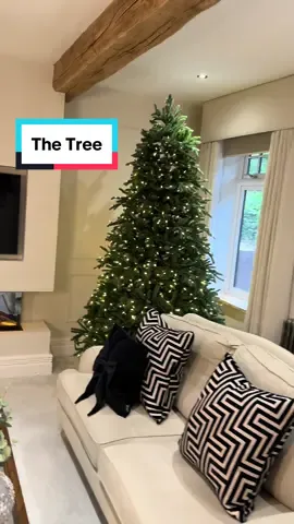 Hey guys, I’ve had alot of you asking me about our tree from Balsam Hill 🎄 This was one of the best investments I made for seasonal decor 🩵 they really are worth every penny, the quality is incredible. This is an 8 foot, pre-lit Nordmann fir, I’m not sure if they actually do this model anymore, but they do have some similar. So it’s worth checking out their website 🩵 This is our third year using this tree and it still feels and looks brand-new. The quality is amazing 👌 #lavishlodge #lavishlodgeinteriors #homedecor #renovation #homedesign #christmas #christmasdecor #christmastree #christmasdecorations #livingroomdecor #houseoftiktok 