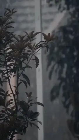 🥀 #reminder#quotes#quotesstory#storywa#quotesoftheday🦋 