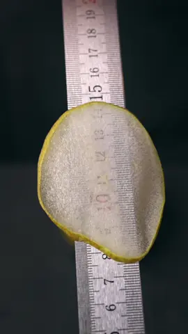 Battle of The Pear vs. The Ruler 🔪✨ #asmr #sharpening #究極の切れ味 
