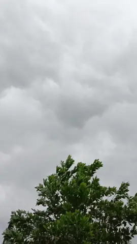 suka banget vibes mendung #sky #rainyday #foryou 