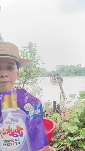 mua nước giặt tại đây 