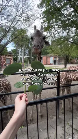 #ελληνικοτικτοκ #ελληνικotiktok #ελλαδα #greektiktok #travel #traveltiktok #κινα 