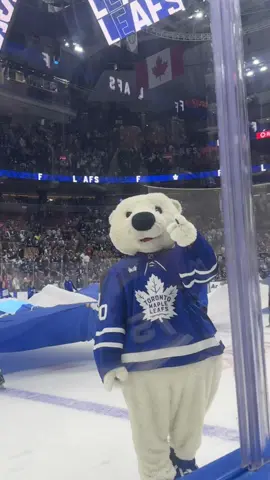 Rinkside don’t get better than this #torontomapleleafs #NHL #leafsnation 