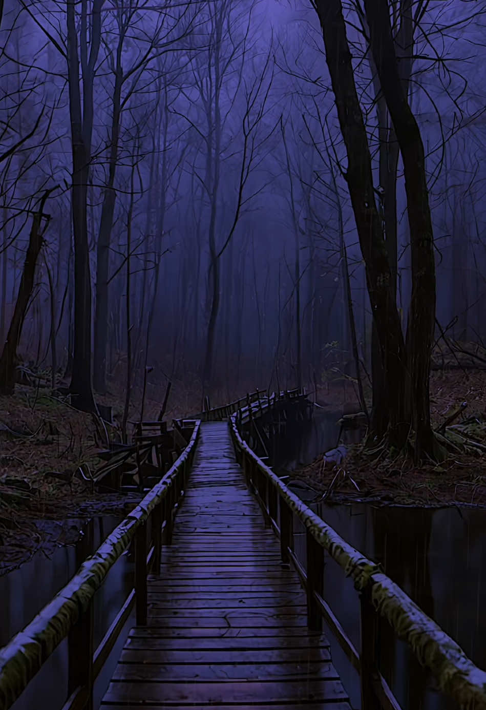 Rainy Forest Walk in the Evening #fyp #foru #foruyou #rain #rainyday #forest #evening #hike #walking #Hiking #mood #moody #aesthetics #aestheticvideos #darkaesthetic #cozy #rainlover #night #positivevibes #beautiful #beautifuldestinations #ai #aiart