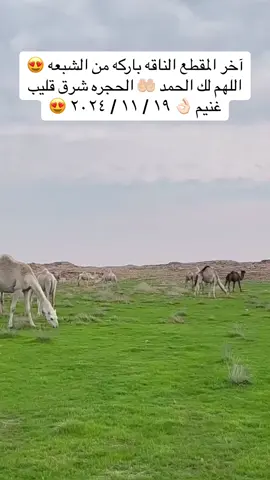 #اكسبلور #viral #fypシ 