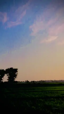 #viralvideo#fypシ゚ 