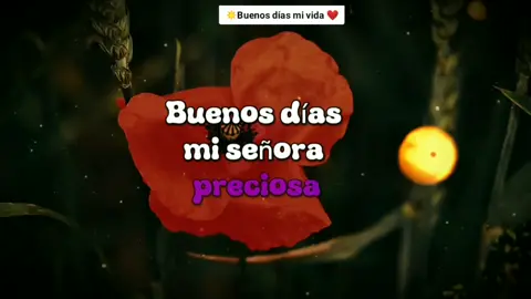 Buenos días mi dormilona #CapCut #couple #Love #foryou #fyp #viral #frasesparadedicar #relalacion #cosasdeparejas #parejas #amor #amorpoetico #buenosdías #felizamanecer 