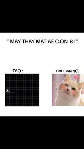 cảm ơn các bn nữ ạ #xhtiktok #19/11#ddnxuhuong #thank#happy 