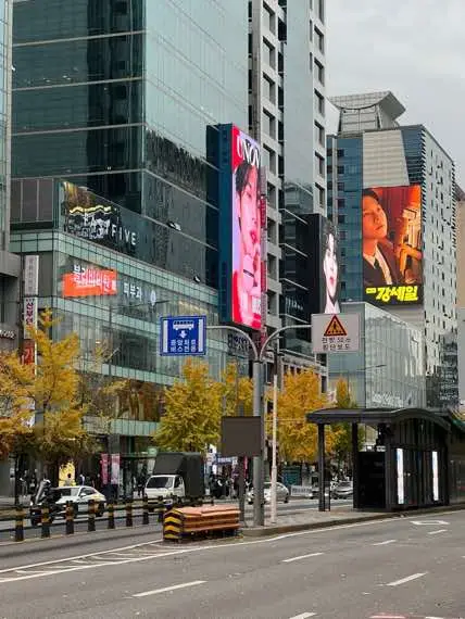 last autumn in korea🍂 #korea #pmikorea🇮🇩♡🇰🇷 