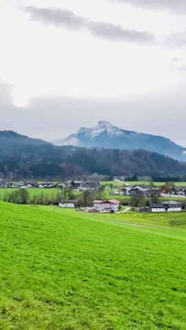Khung cảnh làng quê nước Áo đẹp như một bức tranh ❤️ #austria🇦🇹  #thiennhien  #thiennhientuoidep☘️ #traveltiktok  #travel #chillwithtiktok #canhdep  #chilling #chauau 