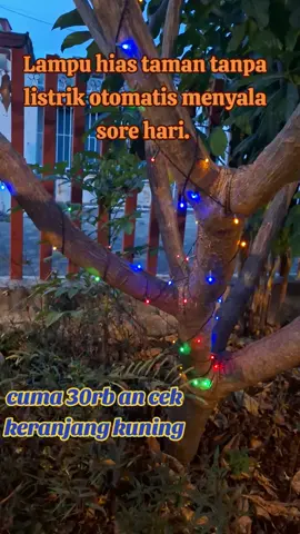 Lampu hias taman otomatis menyala sore hari.  #lamputaman #tenagasurya #lampu 