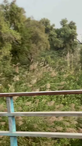 #video #❤️ #viral @❤️,,Roop SHAH,,❤️ 