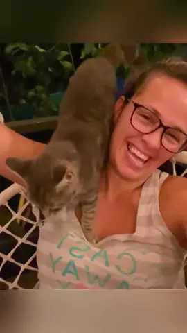 Cat 🐱#funnyvideo #pet #foryou #cuteanimals #cat 