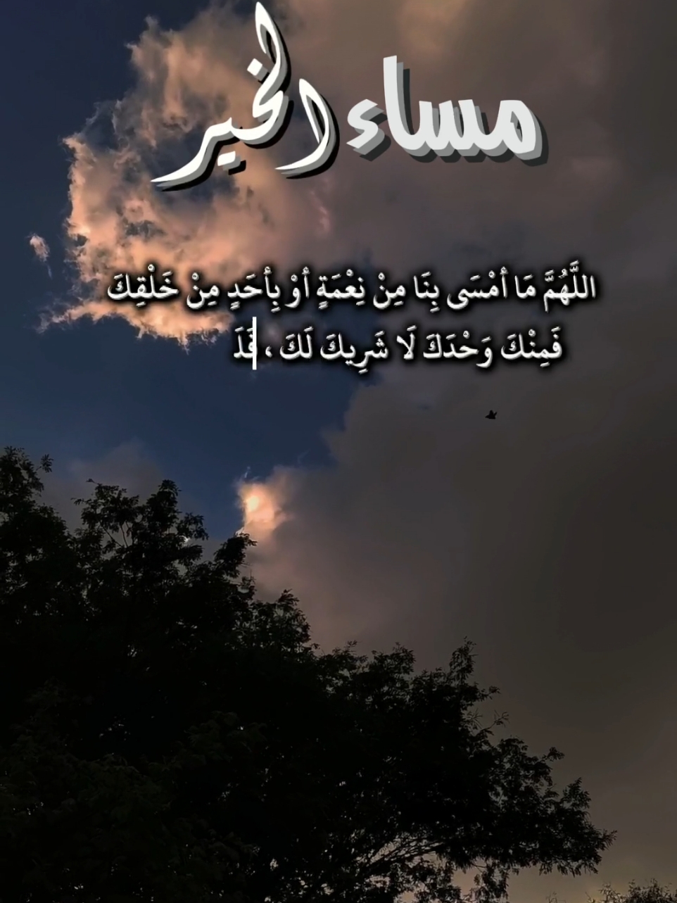‏اللهم ما أمسي بنا من نعمه أو بأحد من خلقك فمنك وحدك لا شريك لك فلك الحمد ولك الشكر#اذكار_المساء #مساء_الخير #اكسبلوررررر #اذكار #سبحان_الله #oops_alhamdulelah #لااله_الا_الله #الله_اكبر #لا_حول_ولا_قوة_الا_بالله #سبحان_الله_وبحمده_سبحان_الله_العظيم ##اللهم_صل_وسلم_على_نبينا_محمد 