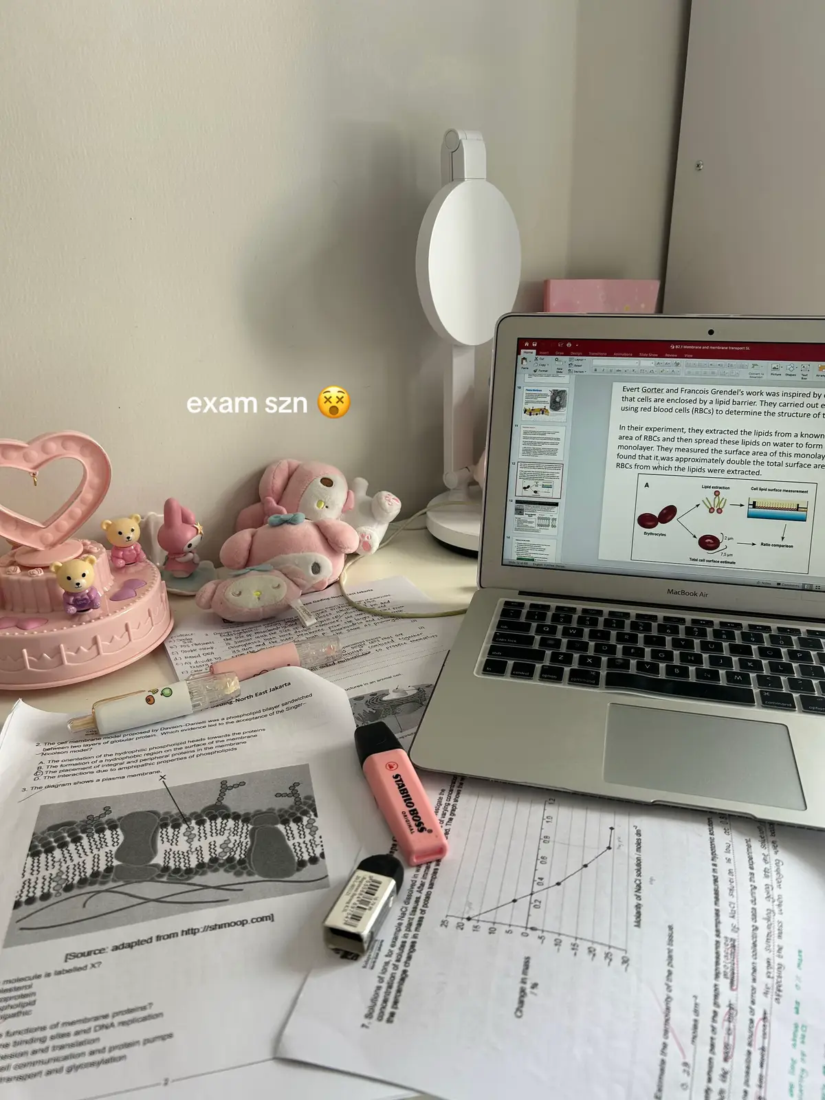 exam szn be like 🧺  #studytok #studydump #studentlife #examseason  