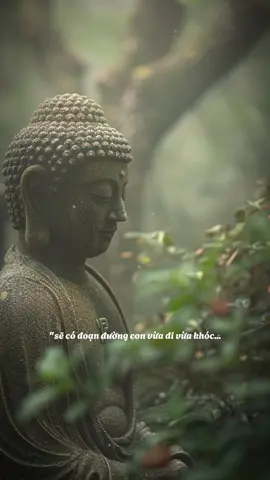 Nếu 1 ngày... #tuetam9519 #tamtrang #tuetamhocphat🍀 #xuhuong #phatphapnhiemmau #nammobonsuthichcamauniphat 