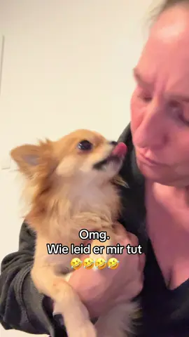 Sein Blick😭😭😭 #tommy_derkater #cats #catsoftiktok #catslovers #catsvideo #catstagram #catsmoves #cat #katze #katzen #katzenvideos #katzenliebe #katzenauftiktok #funnycats #funny #funnyvideo #funnymoments #funnytiktok #fy #fypシ #fypシ゚viral #fypage #fyppppppppppppppppppppppp #vira #viralvideo #viralvideo #viraltiktok #virall #viral_video #viralvideosofficial  #ideen #instergram #booster #fürDich 