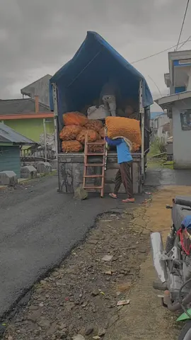 Berangkat senang pulang senang senang, Dieng-Kramatjati via tol panjang  #fyp  #viral  #viraltiktok #truckmaniaindonesia #gigamaniaindonesiacommunity  #drivermudapunyacerita #kentangdieng 