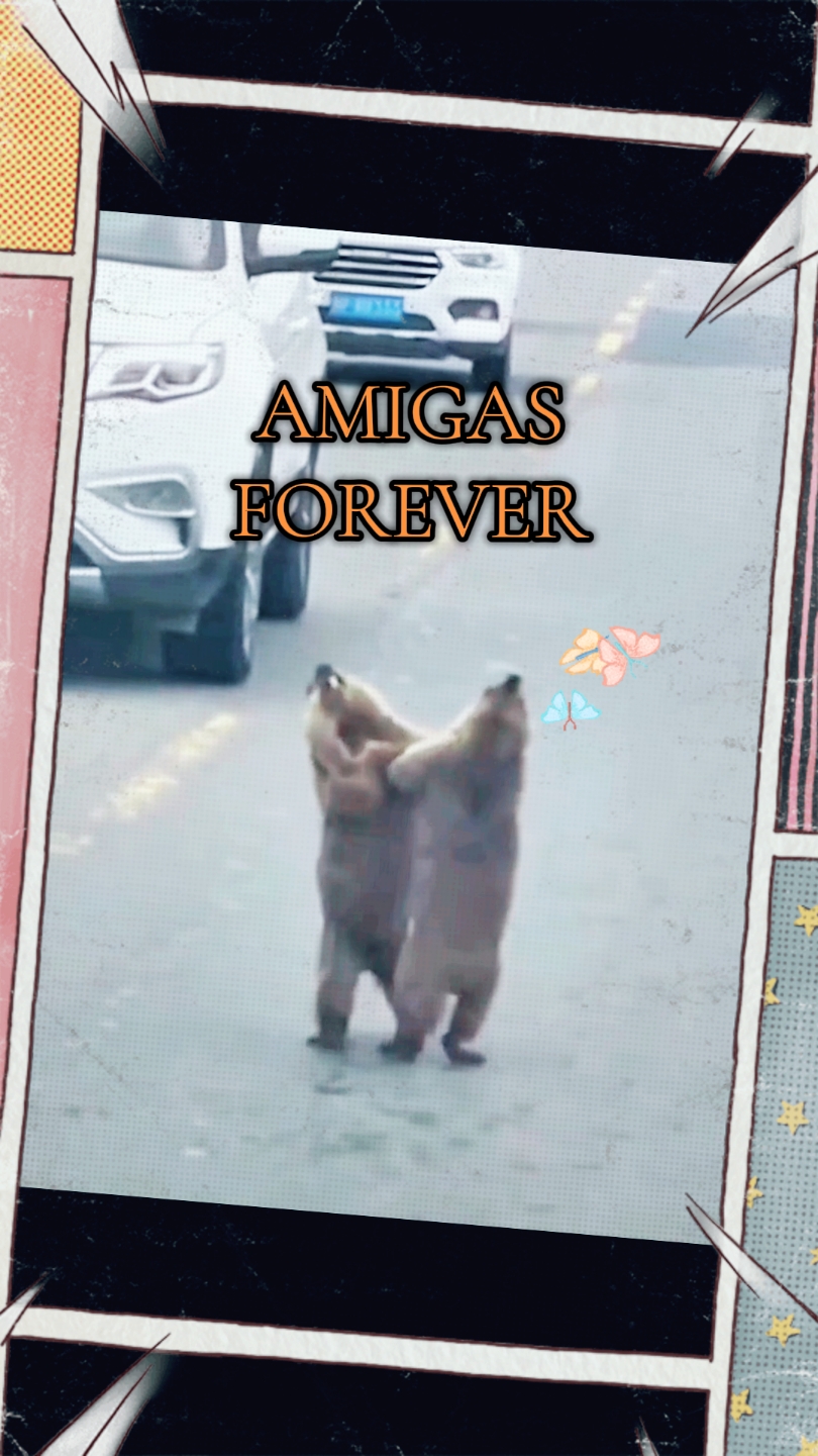 ...esa amiga, cómplice de todo!!🤣😅 #amistad #videoderisa #funny #risa #laugh #baile #friends #friendship #castor #funnyanimals #animalesdivertidos #loveanimals #ritual #parati #foryour #amigasforever 