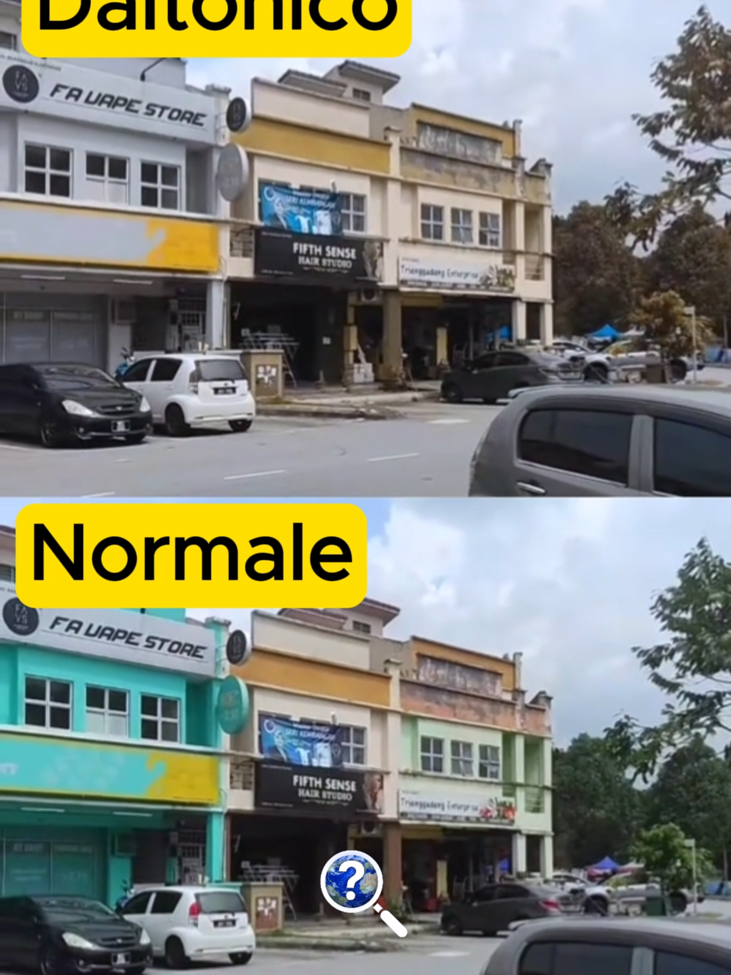 Ecco come alcune persone vedono il mondo👀🤯