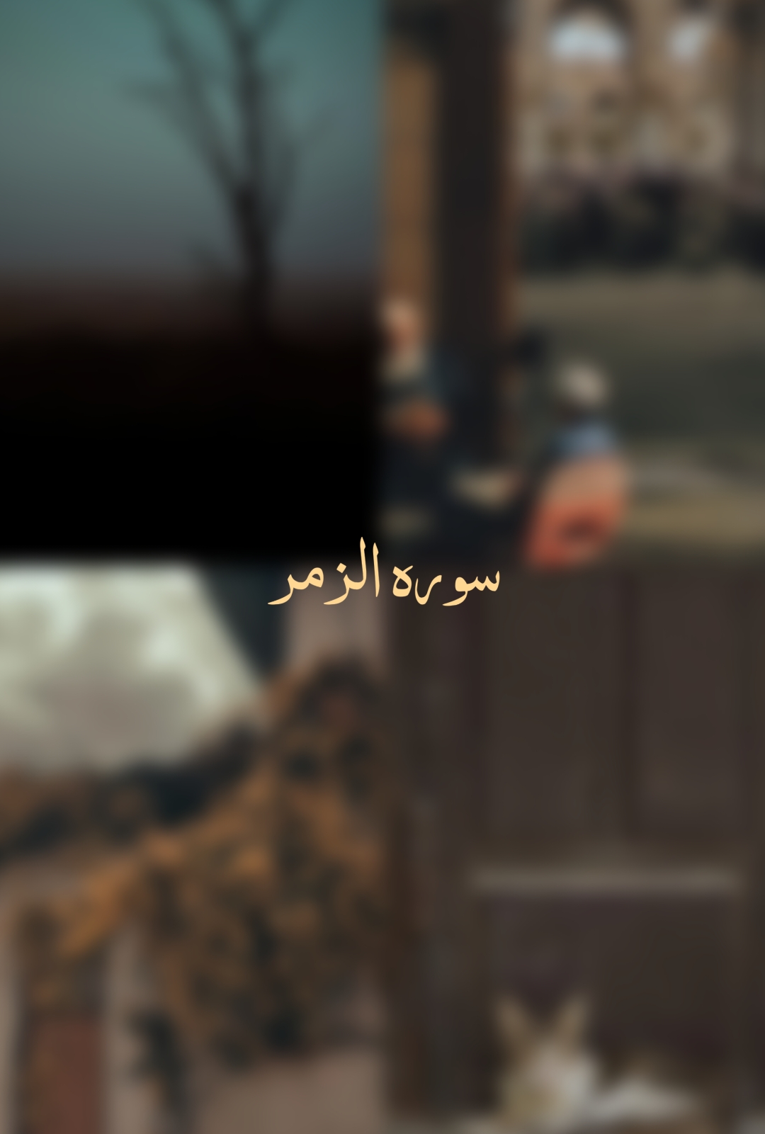 Surah Az Zumar 🍂🤍 #qurantranslationurdu #fyp #quran #trending #viral 