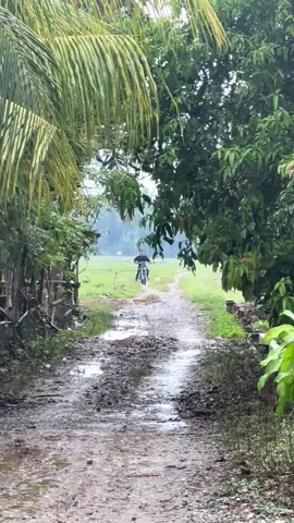 Suaranya idaman laki2 mokondo #bebekstandarviral #bebekmodifikasi #grasstrack #bebekviral 