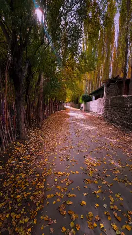 Autumn Falls 🥀❤️‍🩹 You can join us on our every week trips to different destinations in Pakistan. For Booking Details  Contact us at : 03428360441 3 Day trips: Departure on Monday & Thursday from Lahore & Islamabad 3 Days trip to Neelum valley Kashmir 3 days trip to Swat kalam & Malamjaba 3 Days trip to Naran - saifulmalook & Babusar top 3 Daye trip to Kumat valley 5,7,& 8 Days Trip : Departure on Every Friday Night from Lahore & Islamabad  3,6 Days Trip :Departure On Monday Night  5 Days Fairy Meadows Trip Departure on Every Tuesday & Friday Night From Lahore & Islamabad #sadparatours #pakistan #foryoupage #foryoupage #foryou #foryoupageofficiall #skarduvalley #hunza_valley #swat #kashmir #tourism #hazaramotorway #viralvideo #viralclip #all #nature #vehical #mountains #skardu #viralreels #alitahirkhokhar 