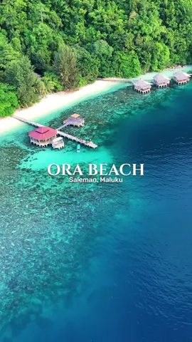Siapapun dan dimanapun kamu, semoga bisa ke tempat secantik ini🏝️🍃😍   #orabeach #saleman #maluku #indonesia 