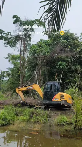 🥺 #xyzbca #sy55c #fypシ #sany #operator_excavator 