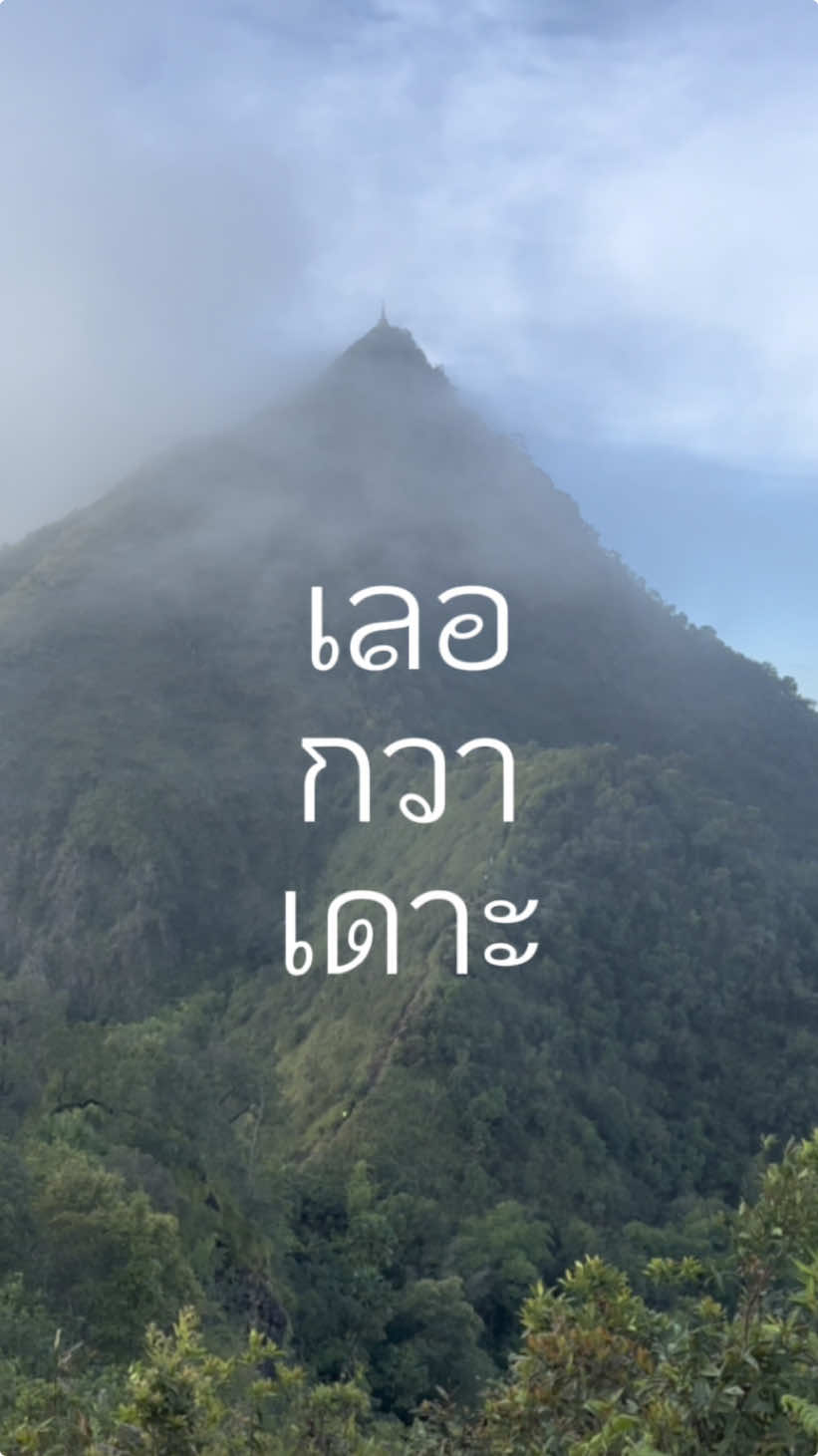 ไปเลอกวาเดาะดินแดนแห่งหมอกกันนน 🌬️⛰️ #เดินป่า #เที่ยวไทย #tiktokพาเที่ยว #ตาก #เดินป่าไทย #เลอกวาเดาะ #หมอก 