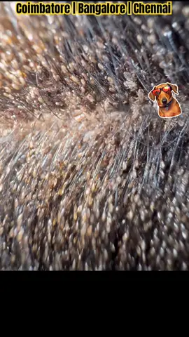 What is time like…#lice #licetreatment #newyork 