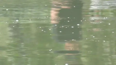 Có bác nào thấy nhịp nó đỡ mồi rơi không 😁😁😁 #caucagiaitri  #cauca  #moichep  #khanhfishing  #suhuongtiktok 