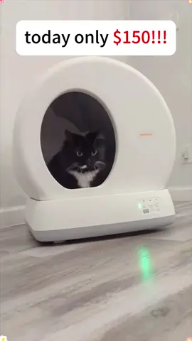 Review - Meowant Self Cleaning Litter Box #selfcleaninglitterbox #catlitterbox #meowant #catmoms #tiktokcat #goodforyou  #foryou  