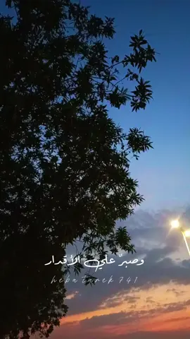 وصبرٌ علي الأقدار التي قد تُؤلمُك🤍🍃 #viraltiktokvideo #تصويري #fyp #everyone #cupcut #تصميمي #بدون_موسيقي #اقوال_الشعراوي #viraltiktok #كانت_الرحلة_ارهاقٌ_وصبرٌ #hebatarek741 #💕💕🦋 #الشعراوي #foryou 