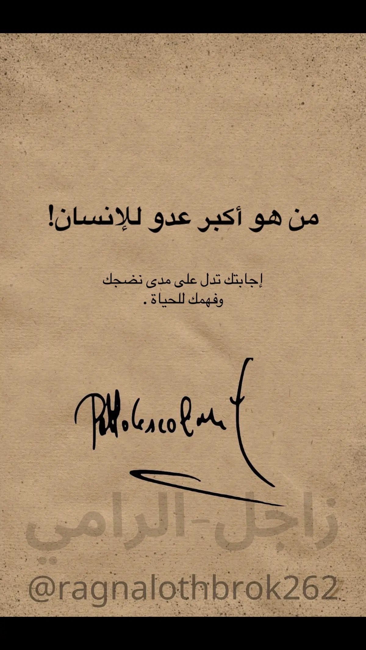 #زاجل_الرامي 