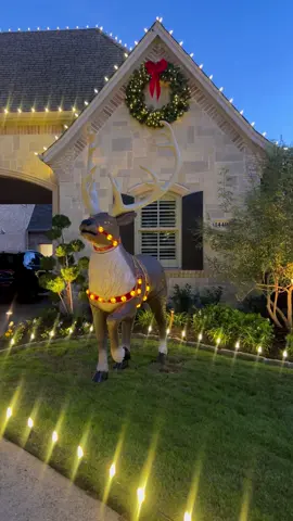 8.5 foot reindeer!!!🦌 So excited about this, and the kids love it!!! From The Home Depot, I have it linked! ♥️