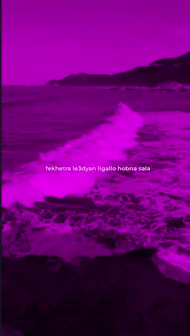 darouu hala 🖤#morocco #viral #spotifywrapped #foryou #song #algeria #france #fyp #music 