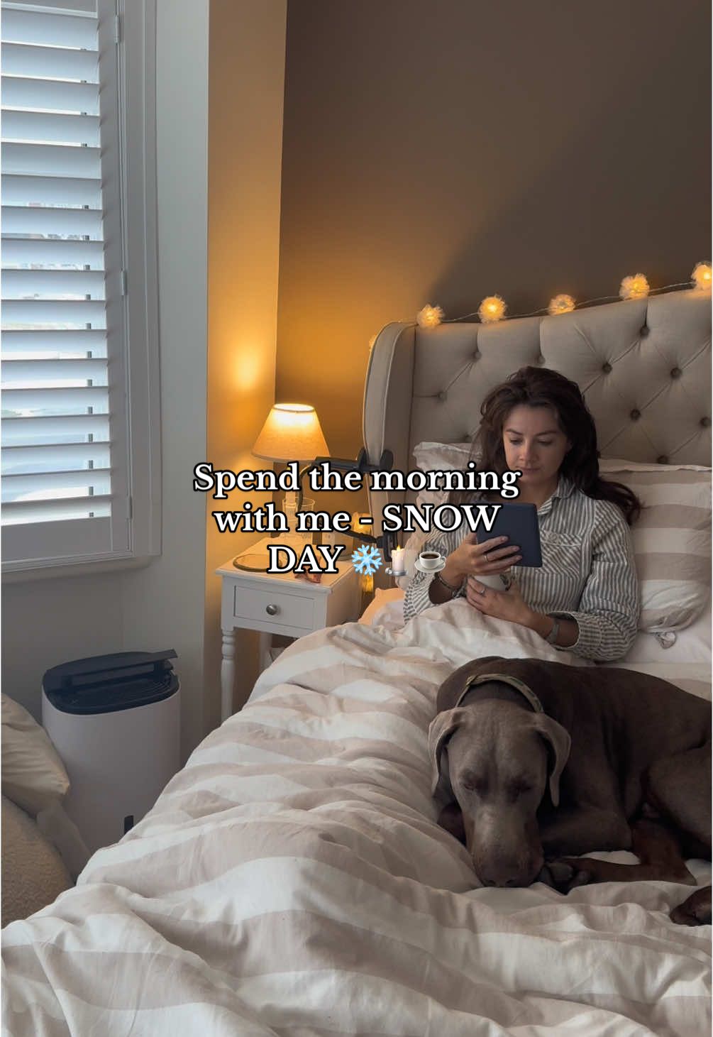 snow days are the best when you have no where to go & get cosyyy at home!! ☕️🕯️❄️ #morningvlog #minivlog #morningroutine #doberman #snowday #fyp #dailyvlog 