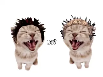 @Juli (LPs version) us fr #linkinpark #linkinparkfan #linkinparkfamily #linkinparkduo #lp #chesterbennington #mikeshinoda #chesterandmike #chesterbenningtonandmikeshinoda #onestepcloser #onestepcloserlinkinpark #us #duo #fyp #viral #share #repost #rzk_kris 