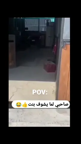 #صاحبي_من_يشوف_بنت #الشعب_الصيني_ماله_حل😂✌️ 