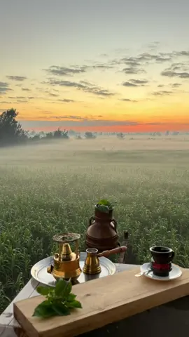 #قران_كريم 