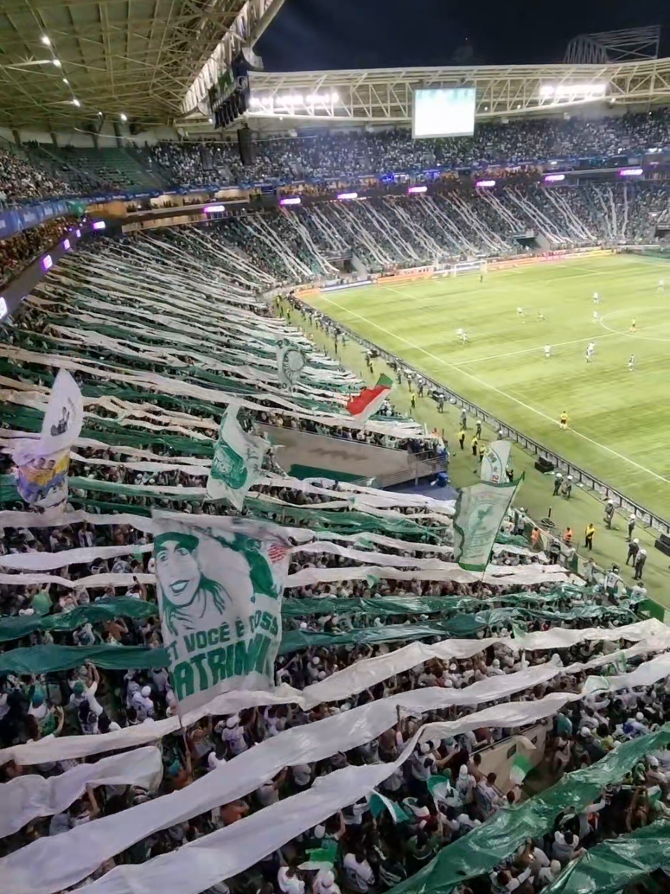 10 anos de Allianz Palmeiras 🏟 O retrospecto geral é de 308 jogos, 205 vitórias, 60 empates, 43 derrotas, 587 gols marcados e 227 gols sofridos. #allianzparque #palmeiras #manchaverde #sp #brasileirao #wolkeralexandrenunes @SE Palmeiras @Allianz Parque 