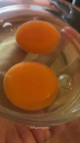 The Power of Egg Yolks: Nature’s Beauty Boost . Did you know that the rich orange hue of a pastured egg yolk tells you it’s packed with carotenes, like beta-carotene and lutein? These natural compounds convert to vitamin A in your body, a powerful antioxidant that helps fight off excess free radicals caused by UV exposure—especially after a long summer in the sun. . Next time you crack an egg, take a good look at the yolk. If you’re paying a premium for pastured eggs, are they as vibrant and bright as they should be? A deep orange yolk, like the ones I get from my local farmer’s market, is a clear sign of a happy hen foraging naturally on a carotene-rich diet—not one fed soy or corn. . But that’s not all—egg yolks are a nutritional goldmine! They’re brimming with B vitamins (like B2, B5, and B12), which help boost energy, reduce stress, and support radiant skin. Plus, they’re rich in choline, a nutrient that’s essential for brain health, cellular structure, and metabolism. Choline also plays a crucial role in maintaining the integrity of cell membranes, keeping your skin plump and hydrated. . So when you see that bright, beautiful yolk, remember: it’s more than just a sign of quality—it’s a natural beauty boost, nourishing you from the inside out. 🌟 #skincare #skinfood #healthyskin #beauty #radiant #glowing #natural #naturalglow #beautyfromtheinsideout 