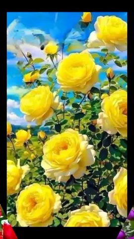 Chào Mừng Ngày Nhà Giáo Việt Nam 20/11♥️♥️♥️