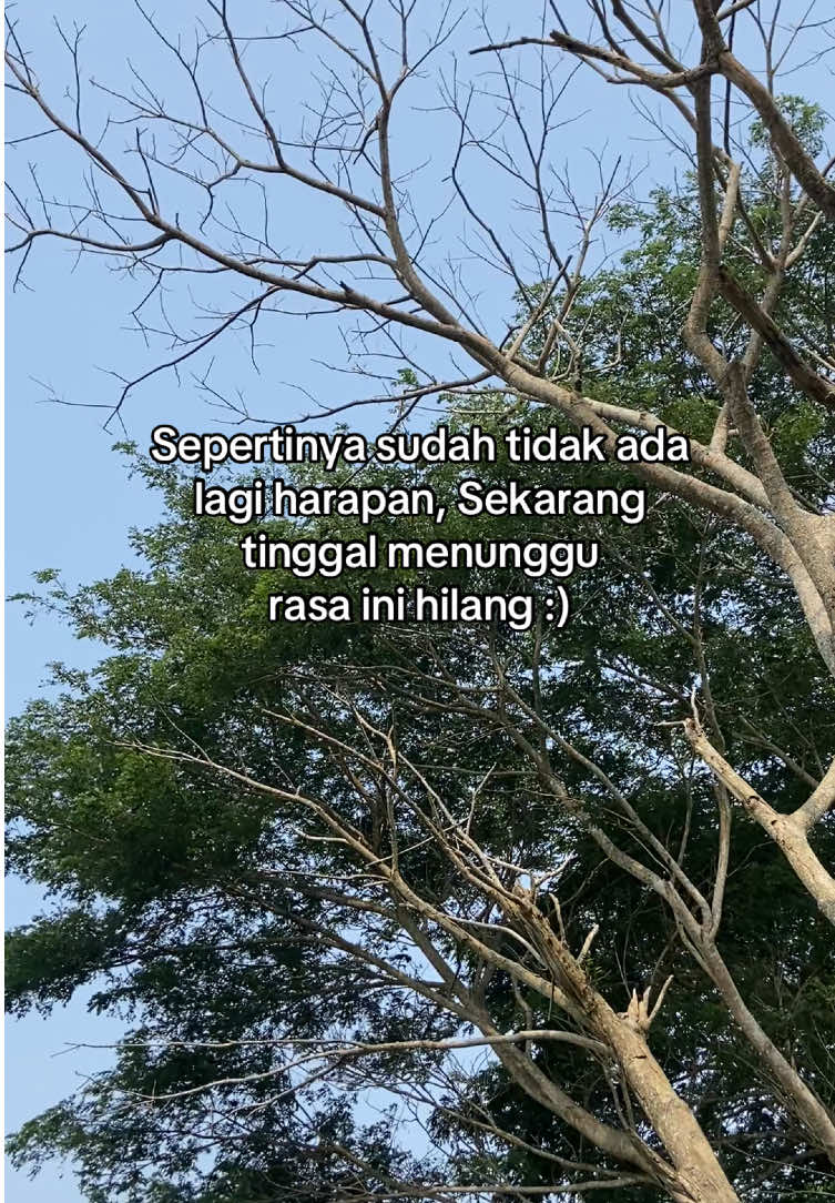 #nglilaknekowe #lungoakuwislilo #liriklagu #lagujawa #katakatajawa #sadstory #jawacidro #masukberanda 