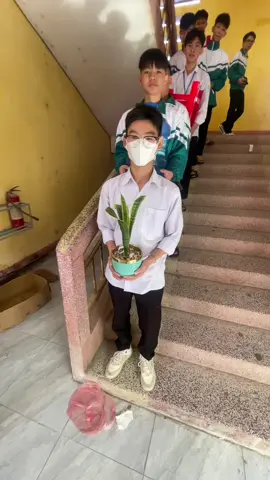 Lễ Vu Quy #xh#11E#viral 