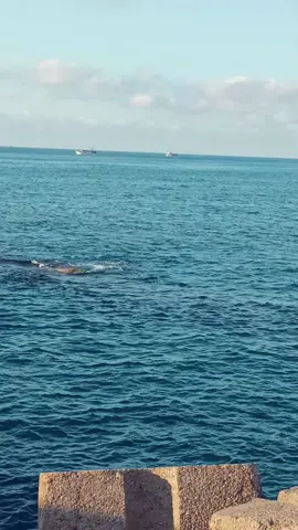 #fffyyypppp #استغفرالله #الحمدلله_دائماً_وابداً #fyp #صلي_علي_النبي_محمد_صلي_الله_عليه_وسلم 